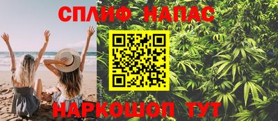 МДПВ Канаш