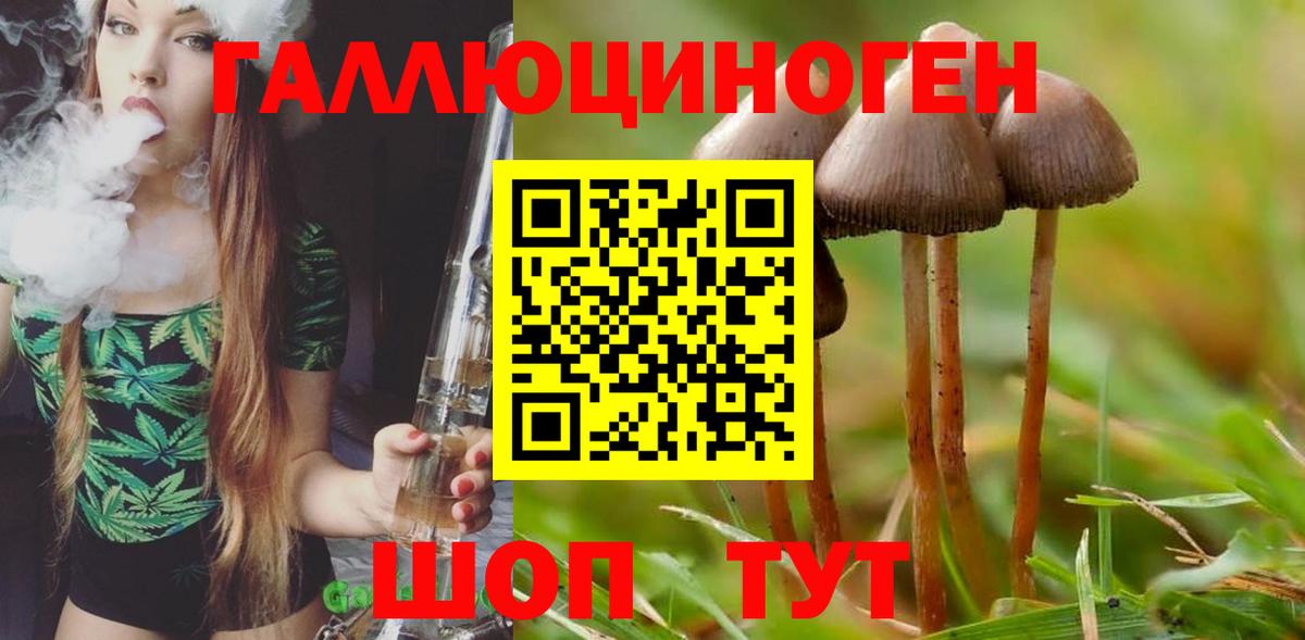 Лесной  наркотики  Галлюциногенные грибы Cubensis  Вход с VPN  Галлюциногенные грибы MAGIC MUSHROOMS 